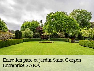 Entretien parc et jardin saint-gorgon-88700 Entreprise SARA
