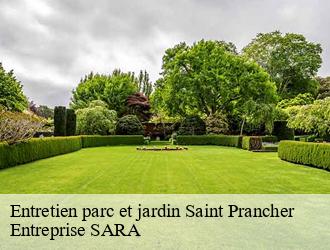 Entretien parc et jardin saint-prancher-88500 Entreprise SARA