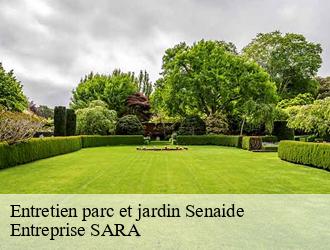 Entretien parc et jardin senaide-88320 Entreprise SARA