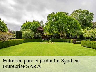 Entretien parc et jardin le-syndicat-88120 Entreprise SARA