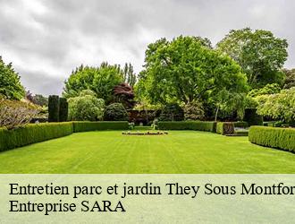 Entretien parc et jardin they-sous-montfort-88800 Entreprise SARA