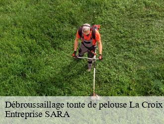 Débroussaillage tonte de pelouse la-croix-aux-mines-88520 Entreprise SARA