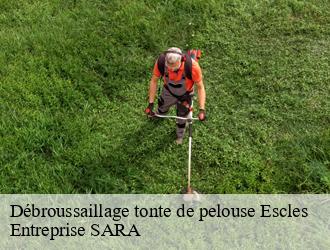 Débroussaillage tonte de pelouse escles-88260 Entreprise SARA
