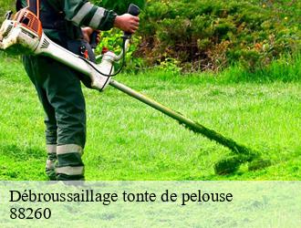 Débroussaillage tonte de pelouse 88260