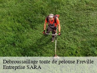 Débroussaillage tonte de pelouse freville-88350 Entreprise SARA