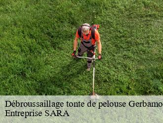 Débroussaillage tonte de pelouse gerbamont-88120 Entreprise SARA