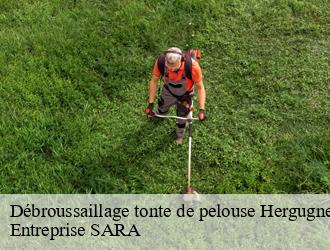 Débroussaillage tonte de pelouse hergugney-88130 Entreprise SARA
