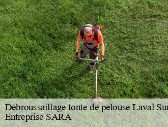 Débroussaillage tonte de pelouse laval-sur-vologne-88600 Entreprise SARA