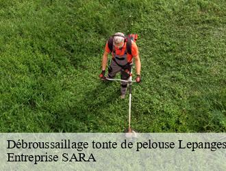 Débroussaillage tonte de pelouse lepanges-sur-vologne-88600 Entreprise SARA