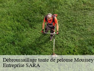 Débroussaillage tonte de pelouse moussey-88210 Entreprise SARA
