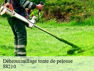 Débroussaillage tonte de pelouse 88210