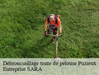 Débroussaillage tonte de pelouse puzieux-88500 Entreprise SARA