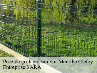 Pose de grillage ban-sur-meurthe-clefcy-88230 Entreprise SARA