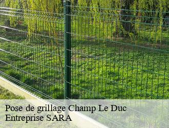 Pose de grillage champ-le-duc-88600 Entreprise SARA