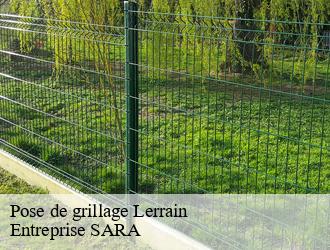 Pose de grillage lerrain-88260 Entreprise SARA
