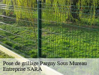 Pose de grillage pargny-sous-mureau-88350 Entreprise SARA