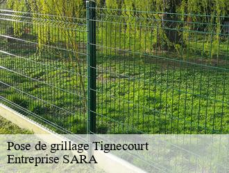 Pose de grillage tignecourt-88320 Entreprise SARA