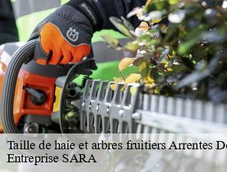Taille de haie et arbres fruitiers arrentes-de-corcieux-88430 Entreprise SARA