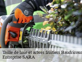 Taille de haie et arbres fruitiers baudricourt-88500 Entreprise SARA
