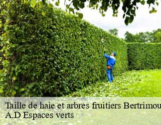 Taille de haie et arbres fruitiers  bertrimoutier-88520 A.D Espaces verts