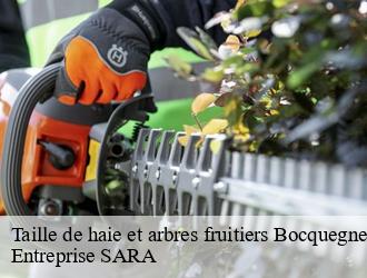 Taille de haie et arbres fruitiers bocquegney-88270 Entreprise SARA