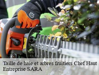 Taille de haie et arbres fruitiers chef-haut-88500 Entreprise SARA