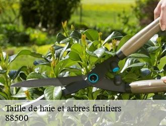 Taille de haie et arbres fruitiers 88500