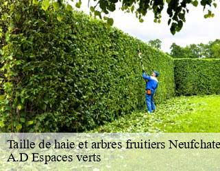 Taille de haie et arbres fruitiers  neufchateau-88300 A.D Espaces verts