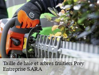Taille de haie et arbres fruitiers prey-88600 Entreprise SARA
