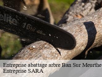 Entreprise abattage arbre ban-sur-meurthe-clefcy-88230 Entreprise SARA
