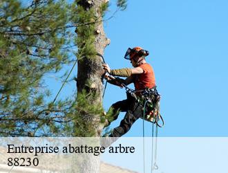 Entreprise abattage arbre 88230