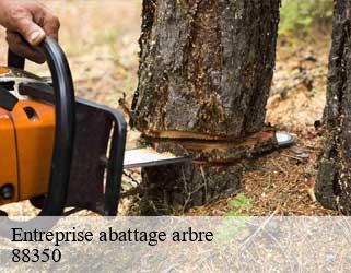 Entreprise abattage arbre  88350