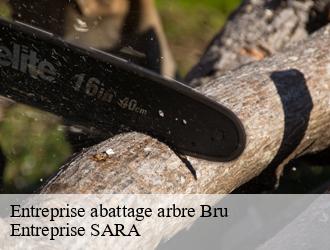 Entreprise abattage arbre bru-88700 Entreprise SARA