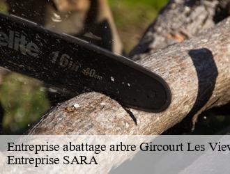 Entreprise abattage arbre gircourt-les-vieville-88500 Entreprise SARA
