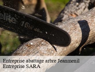 Entreprise abattage arbre jeanmenil-88700 Entreprise SARA