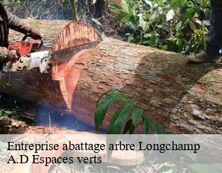 Entreprise abattage arbre  longchamp-88000 A.D Espaces verts