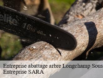 Entreprise abattage arbre longchamp-sous-chatenois-88170 Entreprise SARA