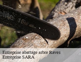 Entreprise abattage arbre raves-88520 Entreprise SARA