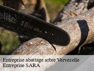 Entreprise abattage arbre vervezelle-88600 Entreprise SARA