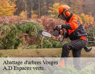 Abattage d'arbres 88 Vosges  A.D Espaces verts