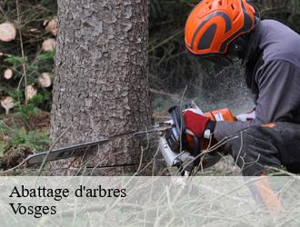 Abattage d'arbres Vosges