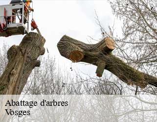 Abattage d'arbres Vosges 