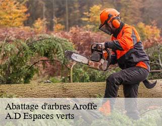 Abattage d'arbres  aroffe-88170 A.D Espaces verts