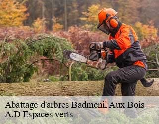Abattage d'arbres  badmenil-aux-bois-88330 A.D Espaces verts
