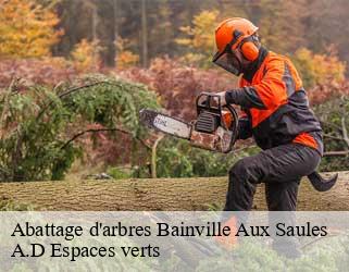 Abattage d'arbres  bainville-aux-saules-88270 A.D Espaces verts