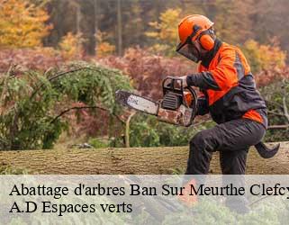 Abattage d'arbres  ban-sur-meurthe-clefcy-88230 A.D Espaces verts