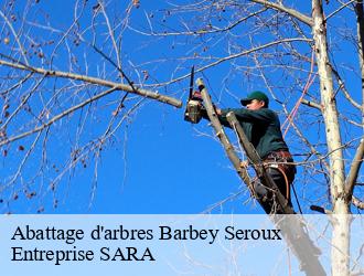 Abattage d'arbres barbey-seroux-88640 Entreprise SARA