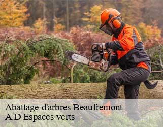 Abattage d'arbres  beaufremont-88300 A.D Espaces verts