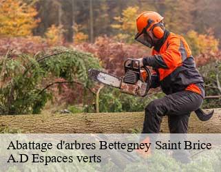Abattage d'arbres  bettegney-saint-brice-88450 A.D Espaces verts