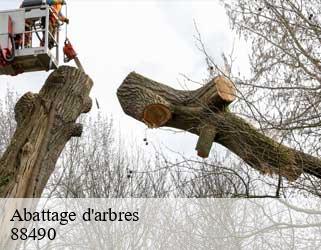 Abattage d'arbres  88490
